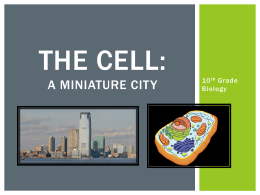 The Cell: A Miniature City