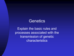 Genetics_notes