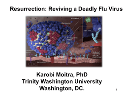 Resurrection- Reviving a Deadly Flu Virus (Moitra, 2015, presentation)