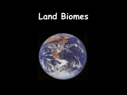 land biome notes
