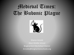 Medieval Times: The Bubonic Plague