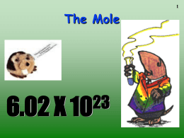 13. The Mole