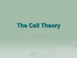 Intro to Cell