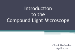 Introduction to the Compound Light Microscope