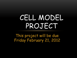 Cell Model Project