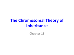 The Chromosomal Theory of Inheritance