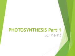 PHOTOSYNTHESIS Part 1