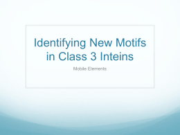 Identifying New Motifs in Class 3 Inteins