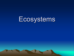 Ecosystems - science wise guys