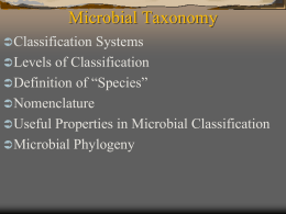 microbial taxonomy