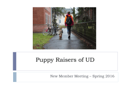 Puppy Raisers of UD - Puppy Raisers of the University of Delaware