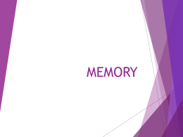 Memory PPT