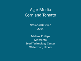 Agar Media: Corn and Tomato