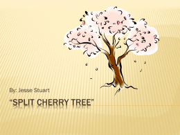 Split Cherry Tree - Laurel County Schools