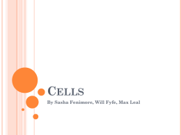 Cells - WfyfeBio