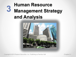 Human Resource Management Strategy and Analysis 3