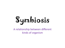Symbiosis - Old Tappan School District Newsletter