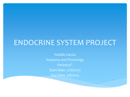 ENDOCRINE SYSTEM PROJECT