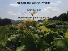 Review of Cold Hardy Grape Cultivars
