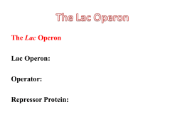 Genetics Lesson 7 - Lac Operon