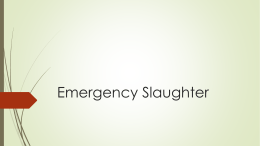 Emergency Slaughter