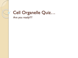 Cell Organelle Quiz - Woodbridge