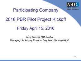Company Pilot Project Kickoff