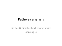 Pathway analysis