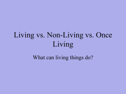 Living / Non-living Powerpoint