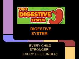 digestive system - River Vale Public Schools