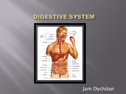 Digestive System - 814 E