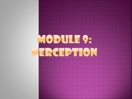 Module 9: Perceptiong