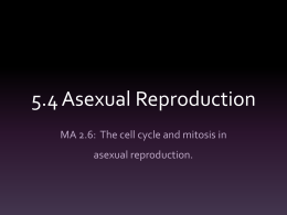 5.4 Asexual Reproduction