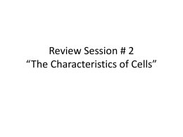 A. cells