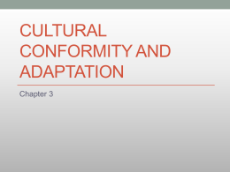 Cultural Conformity and Adaptation