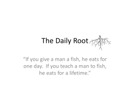 The Daily Root