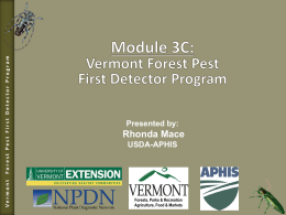 Module 3C - Vermont Invasives