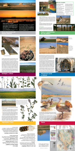 Lagunas de Villafáfila - Fundación Patrimonio Natural de Castilla y