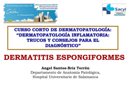 Dermatitis espongiformes