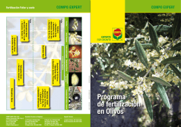 Programa de fertilización en Olivos