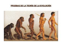 PRUEBAS DE LA TEORÍA DE LA EVOLUCIÓN