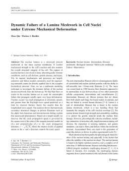Dynamic Failure of a Lamina Meshwork in Cell Nuclei under