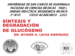 Glucógeno - USAC – Bioquímica
