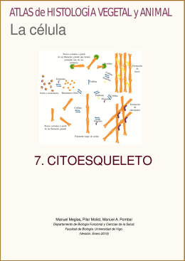 Descargar citoesqueleto en pdf - Atlas de Histología Vegetal y Animal