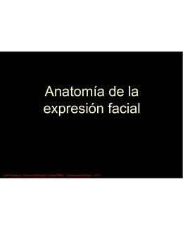 Anatomía de la expresión facial
