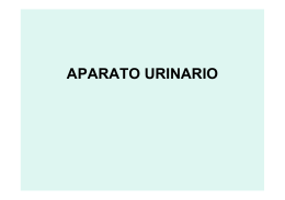 APARATO URINARIO