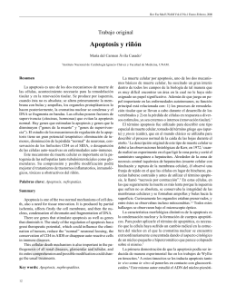 Apoptosis y riñón - E-journal