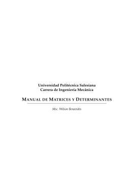 Manual de Matrices y Determinantes