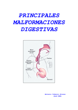 principales malformaciones digestivas