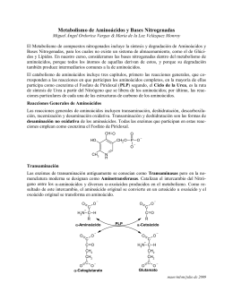 Metabolismo de Aminoácidos y Bases Nitrogenadas